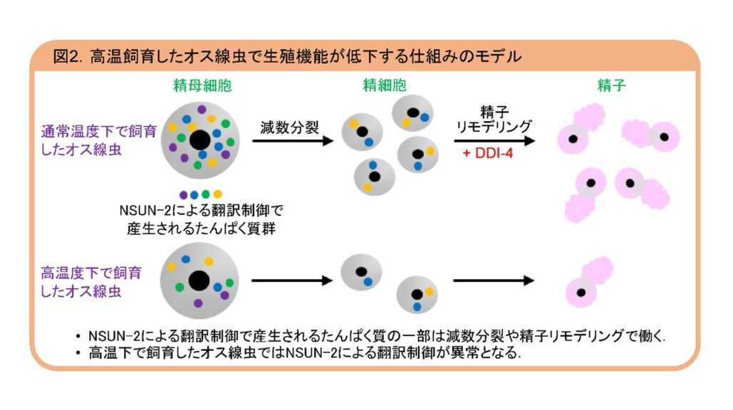 摂南大学
