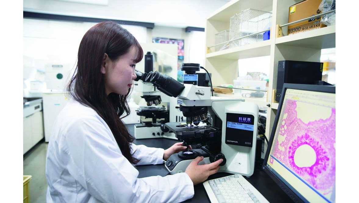 ステロイドの効かないぜんそく治療に新知見 「ＪＡＫたんぱく質」に着目