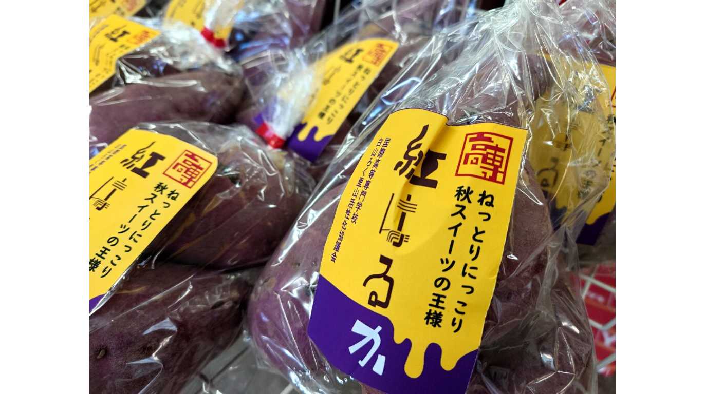 大学プレスセンター