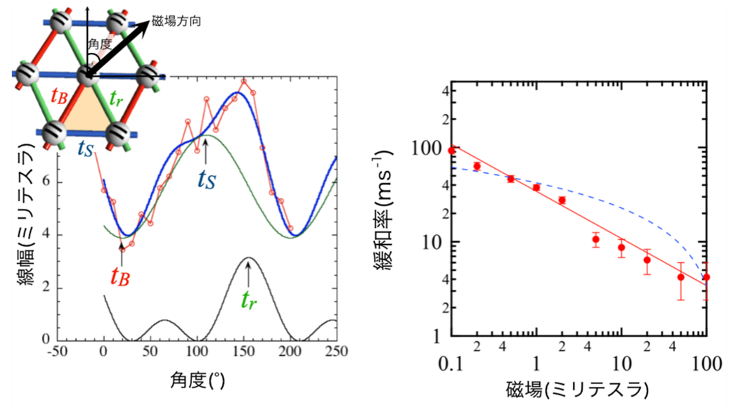 芝浦工業大学