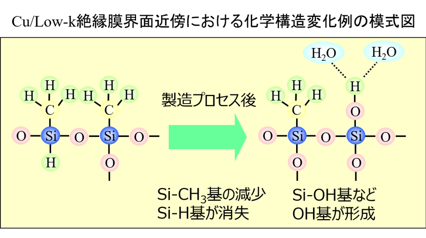 芝浦工業大学
