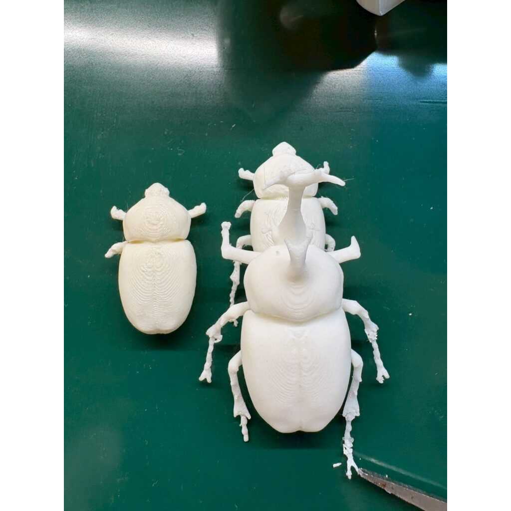 リリース
