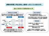 崇城大学