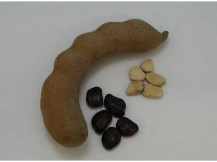 大阪電気通信大学