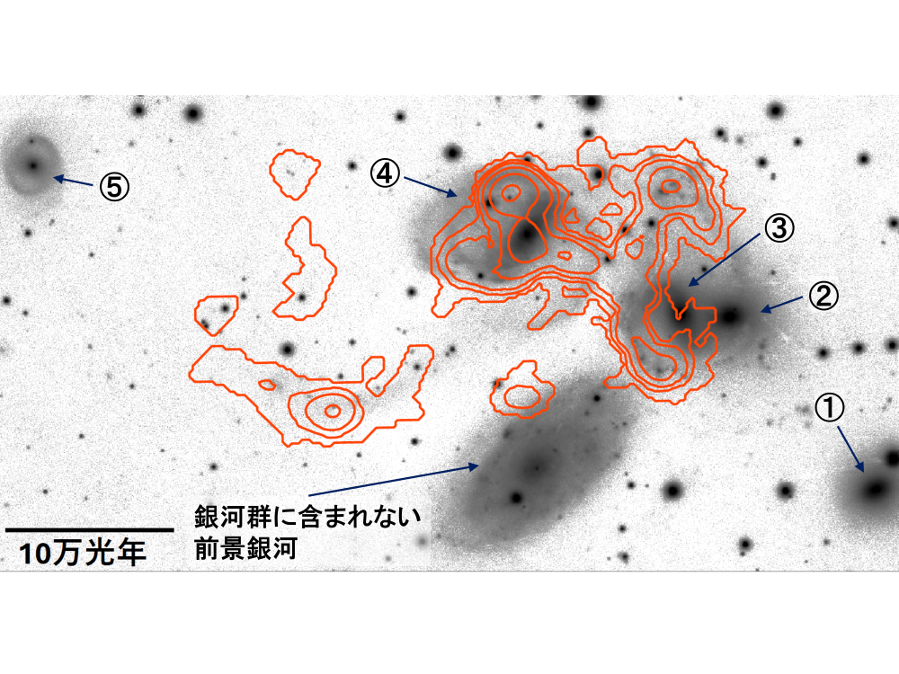大阪電気通信大学