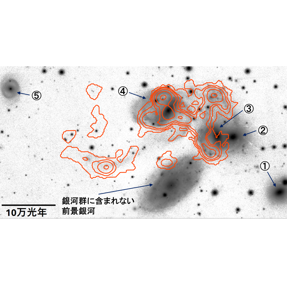 大阪電気通信大学