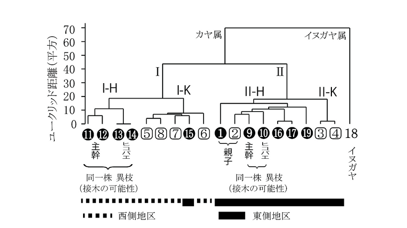 近畿大学