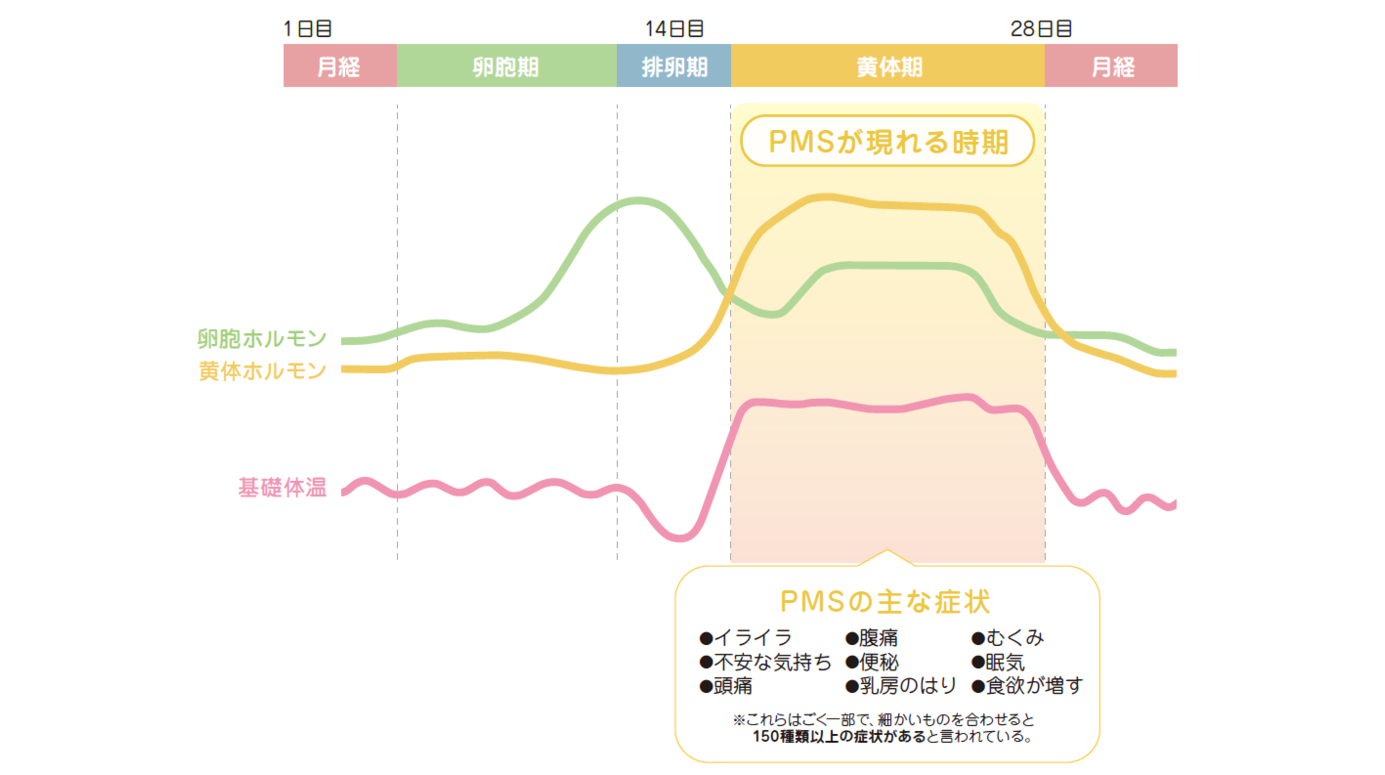 近畿大学