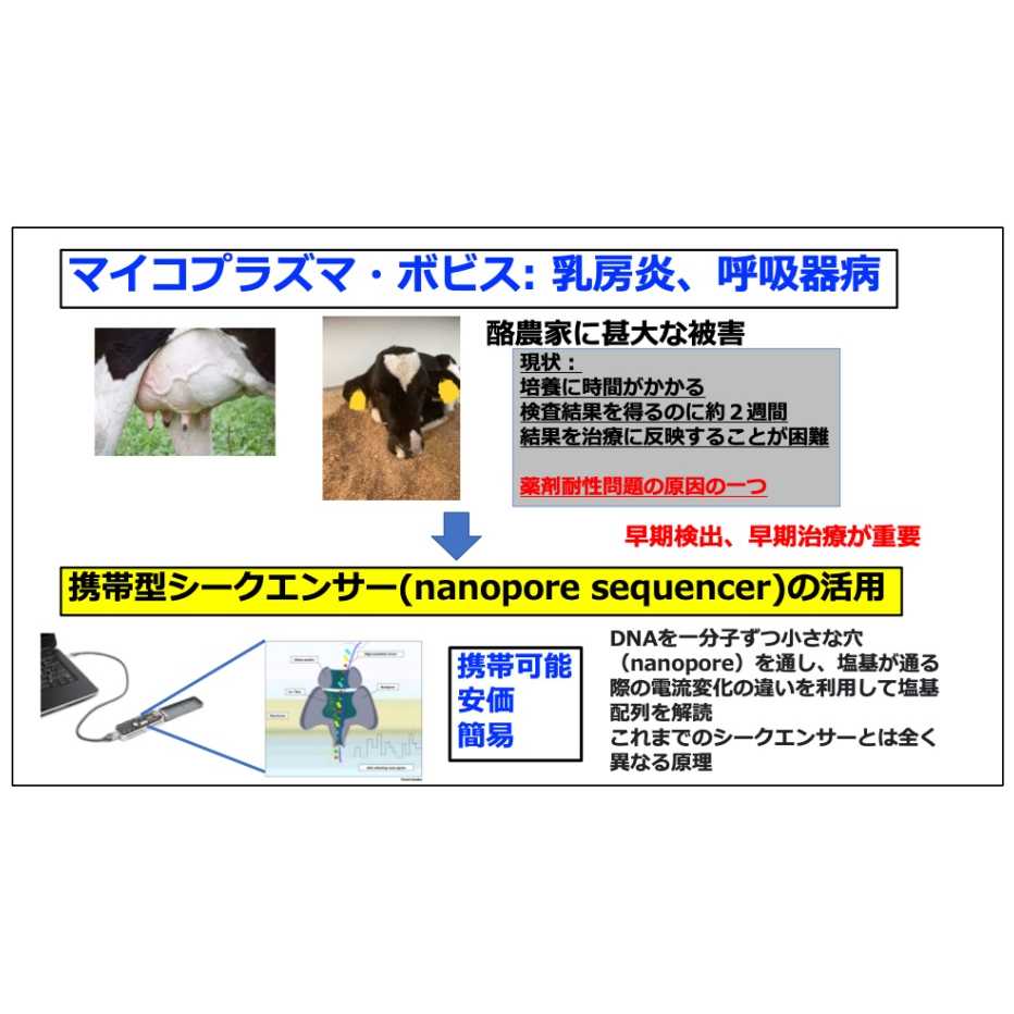 リリース