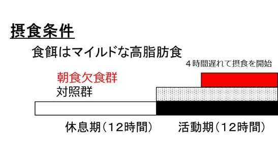 名古屋大学