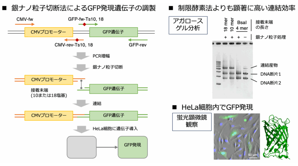 名古屋大学