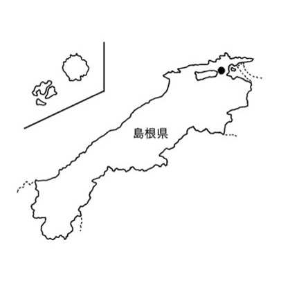 リリース