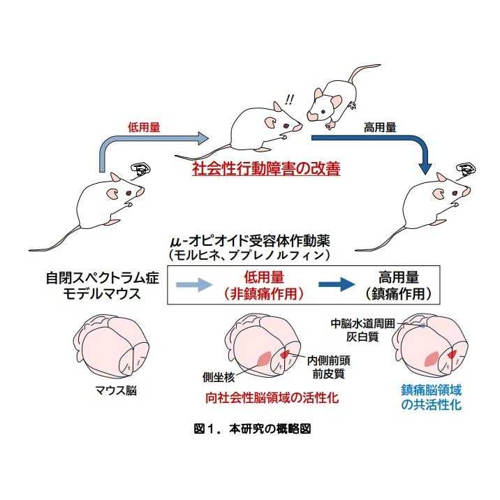 大阪大学