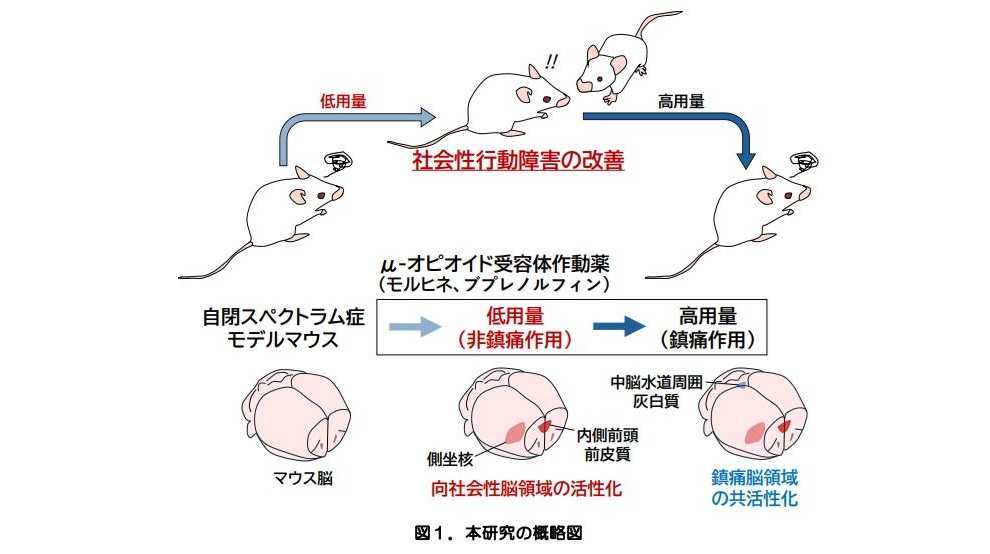 大阪大学