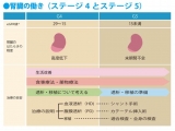 NPO法人 腎臓サポート協会