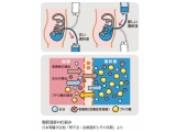 NPO法人 腎臓サポート協会