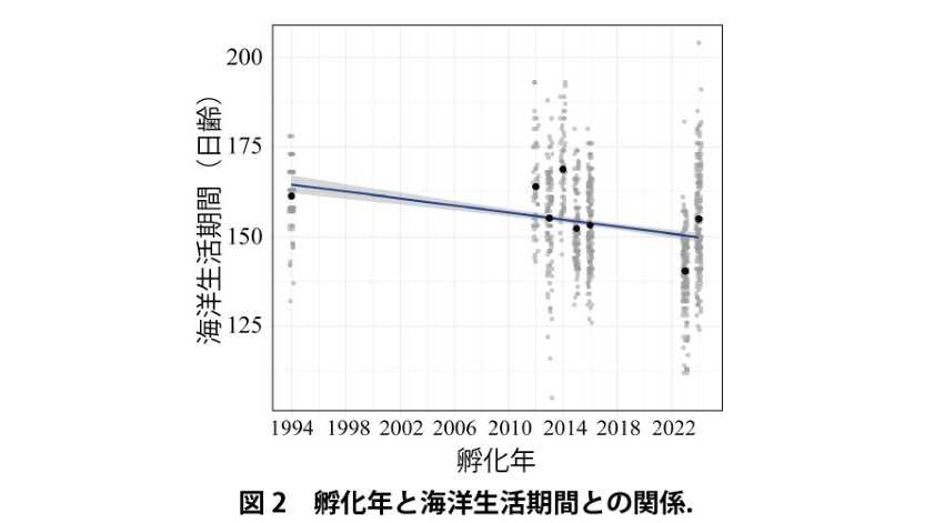 公立大学法人 長野大学