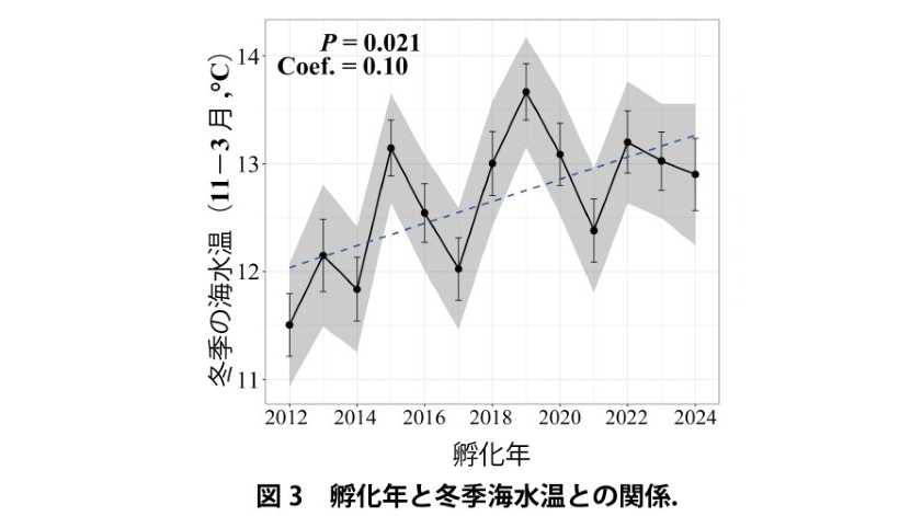 公立大学法人 長野大学