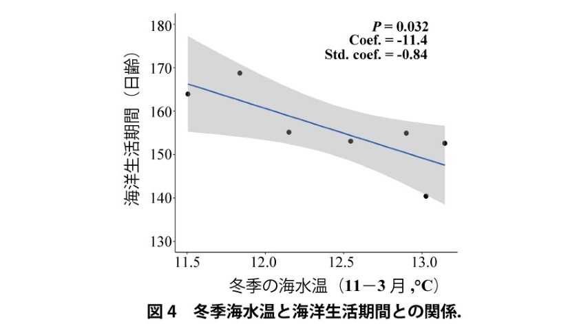 公立大学法人 長野大学